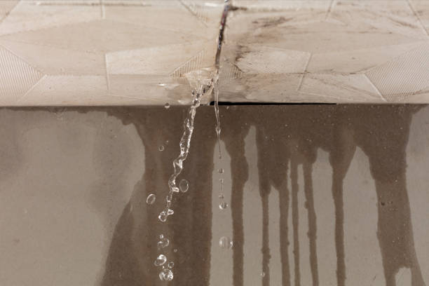 Professional Burst Pipe Cleanup technician working in Six Lakes, MI